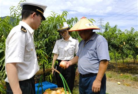 寧波油桃多少錢一斤？地域、時令及市场动态探討